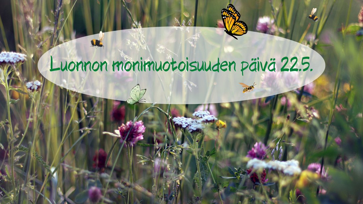 Tänään vietetään kansainvälistä luonnon monimuotoisuuden päivää! "Luonnon monimuotoisuutta on suojeltava, ennen kaikkea ihmisen toimien seurauksilta. Panostamalla kestävään kehitykseen varmistamme luonnon monimuotoisuuden säilymisen myös tulevaisuudessa."