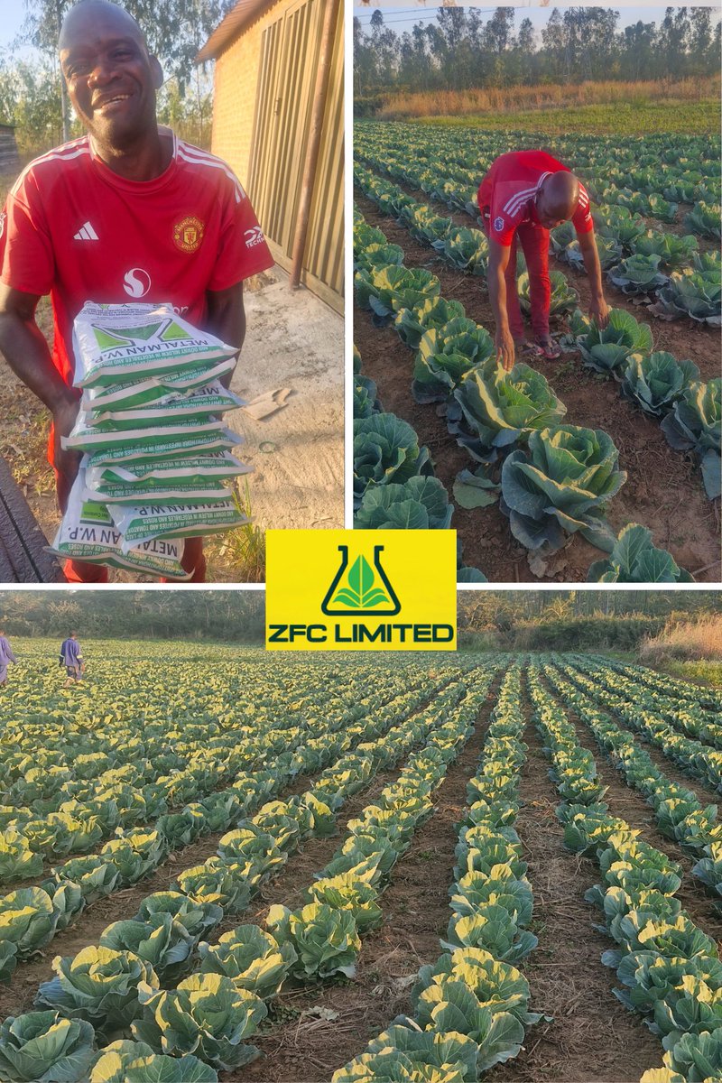 ZFC Limited tweet media