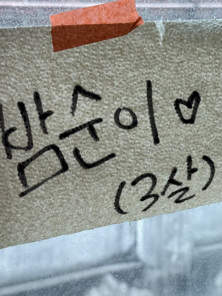 방금 훈훈한 일이 있었음

누가 창밖에서 
오늘은 안 나오는 줄 알았어~ 이러고
밤순이한테 말거는 거임
그래서 머지?? 하고 봤더니
앞집 아주머니가 다용도실에서 빨래널며
창가에 앉아있는 밤순이 맨날 보셨나봄
아주머니는 호다닥 들어가셨는데
넘 맘좋아서
밤순이(3살) 창문에 이름 붙여놓음ㅋㅋ