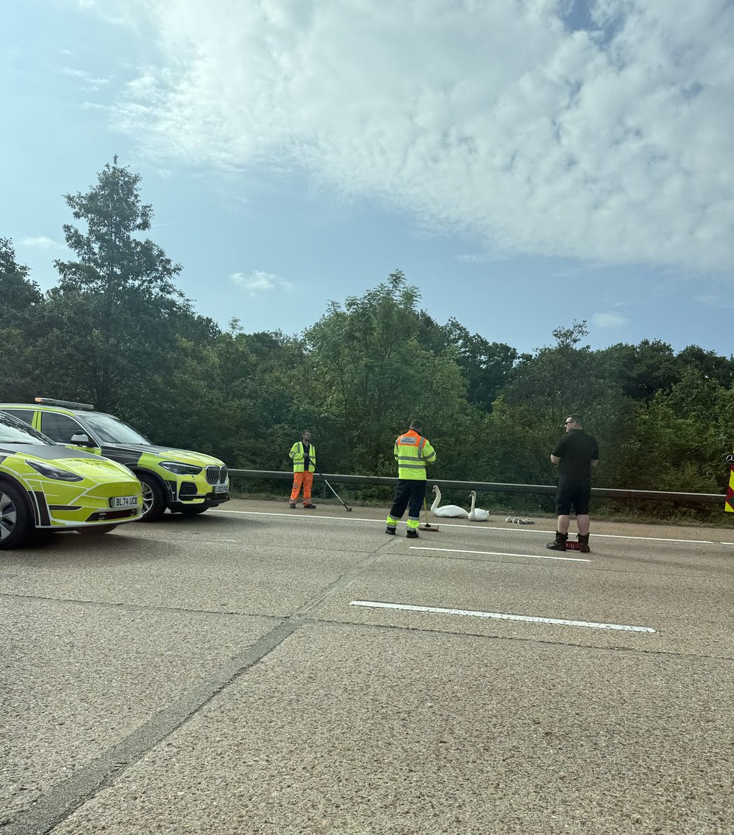 sweelips's tweet photo. #M25 #traffic
These little culprits with their offspring causing massive disruption at the moment!
Quite cute though...and yes, I was a passenger... https://t.co/89F6KYiVQw