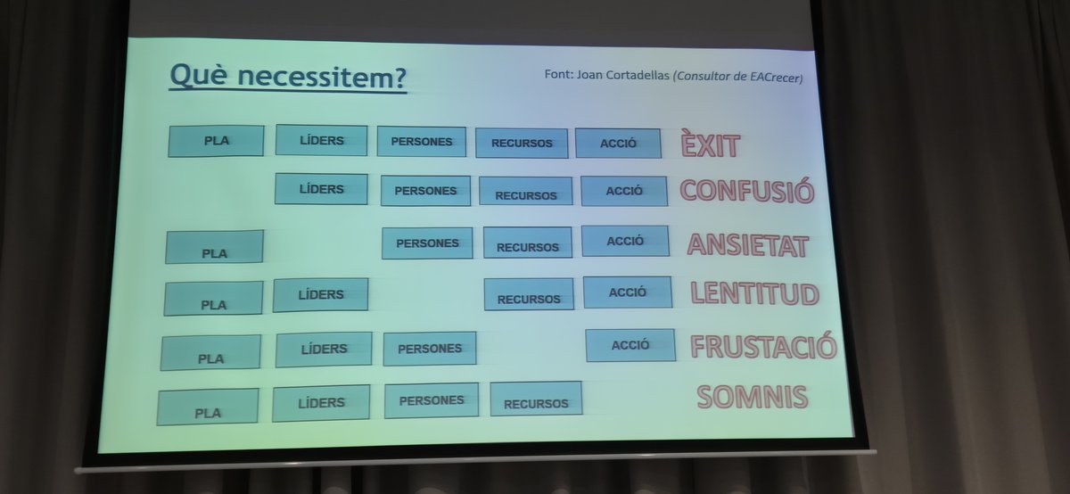 "Necessitem un pla, necessitem líders, necessitem persones, necessitem recursos i necessitem accions."