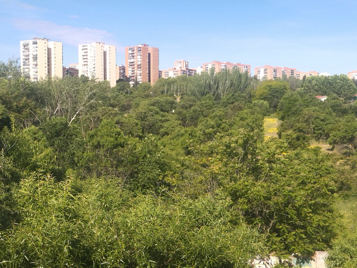 Salvar Hortaleza (@salvarhortaleza) on Twitter photo No lo olvidemos: el Ayuntamiento de Madrid de <a href="/AlmeidaPP_/">José Luis Martínez-Almeida</a> pretende arrasar este vergel, la centenaria Huerta de Mena de Hortaleza, para que una orden religiosa y una promotora francesa den un pelotazo inmobiliario construyendo oficinas. No lo olvidemos: el Ayuntamiento de Madrid de <a href="/AlmeidaPP_/">José Luis Martínez-Almeida</a> pretende arrasar este vergel, la centenaria Huerta de Mena de Hortaleza, para que una orden religiosa y una promotora francesa den un pelotazo inmobiliario construyendo oficinas.
