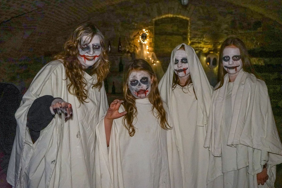 🕯️Všechny dobrodružné duše zveme na Noční Kačinu! Strašidelná stezka zámeckým parkem, loutkové představení, street dance a prohlídka skleníku se zámeckým zahradníkem. NZM Kačina zve➡️v sobotu 31. 5. od 19 do 23 hodin na večerní program pro děti i dospělé!👻