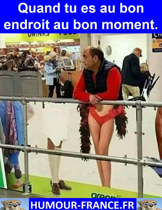 text alternatif