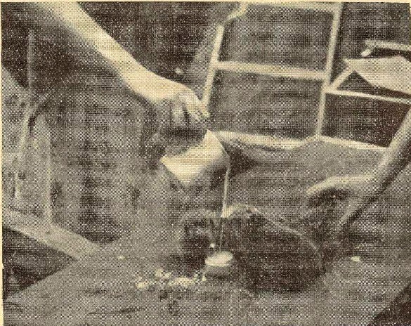 "Eži dzer pienu no strūkliņas."

🙈Kad cilvēki vēl nezināja, ka ežiem piens nav ieteicams.

/Daba un Zinātne, 01.03.1937