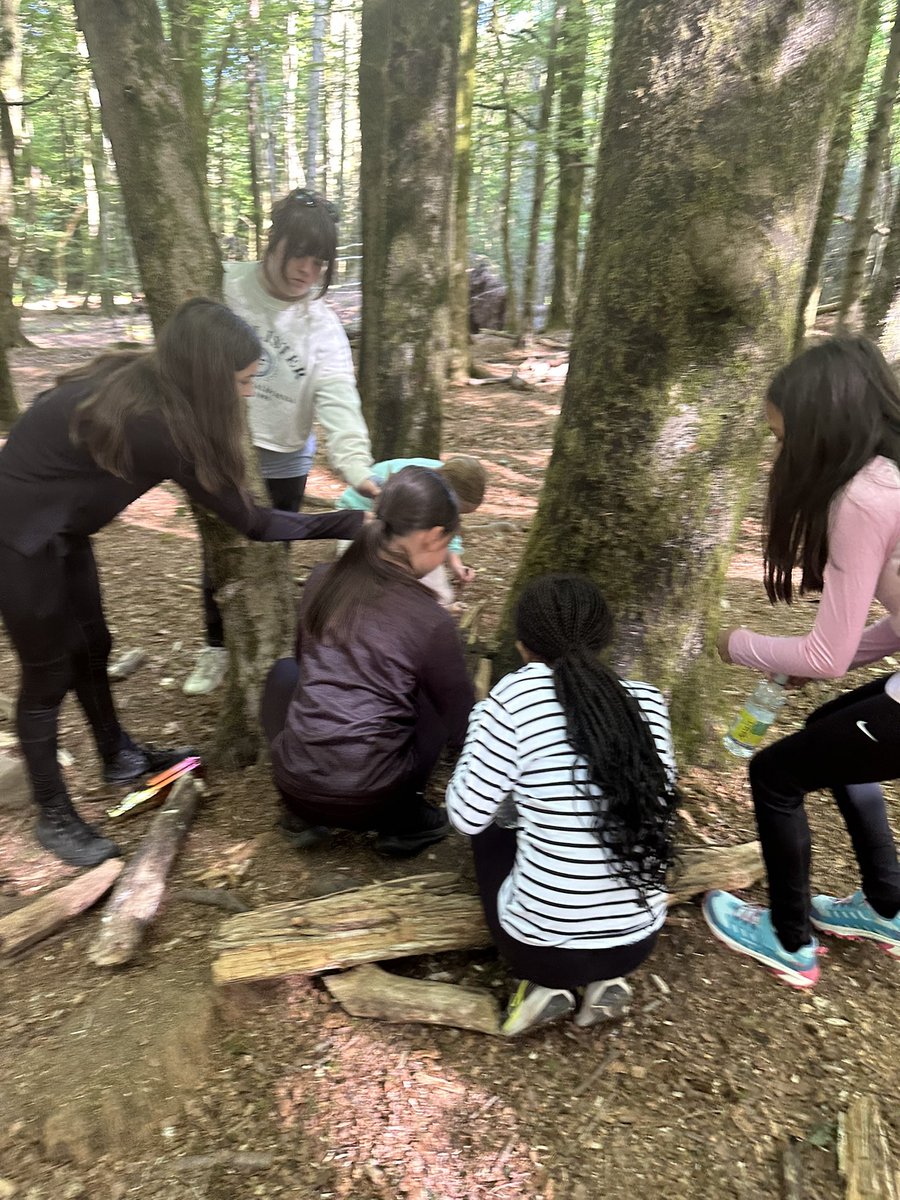 SaintJosephsRC's tweet photo. Day 2 at camp and we are loving our first activity. We have learned about different types of survival shelter and are building our own!
# stjoeshwb #schoolcamp https://t.co/GNJ96jdHv3