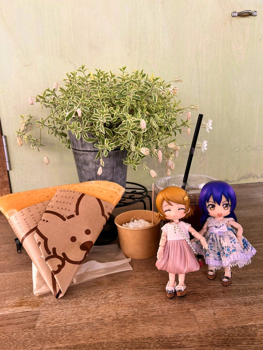 pomapomasakae's tweet photo. 気になってたカフェに行ってきた♡
シュガーバターのクレープが1番好きー🫶

@Nurs_9s がうみちゃん連れてきてたよ https://t.co/MF2glbtZF7