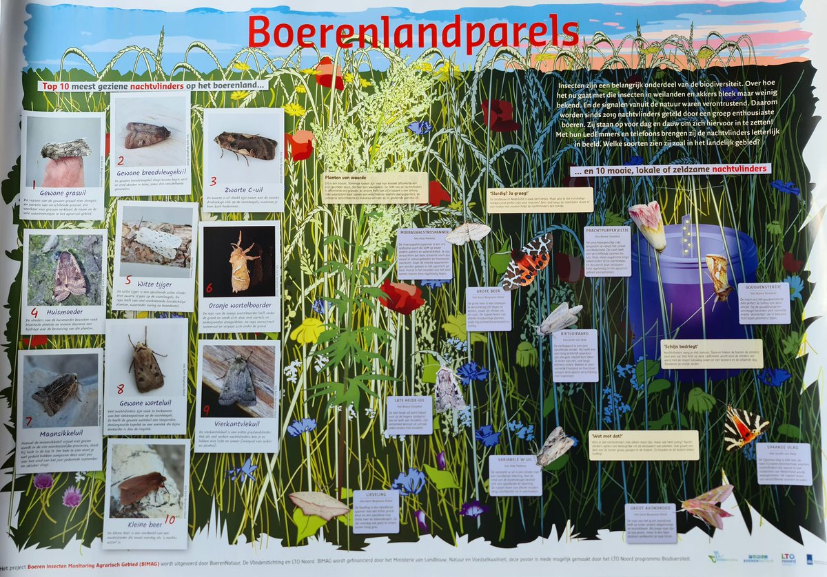 Karin Bergmans-Elshof 🥔🦋 tweet media