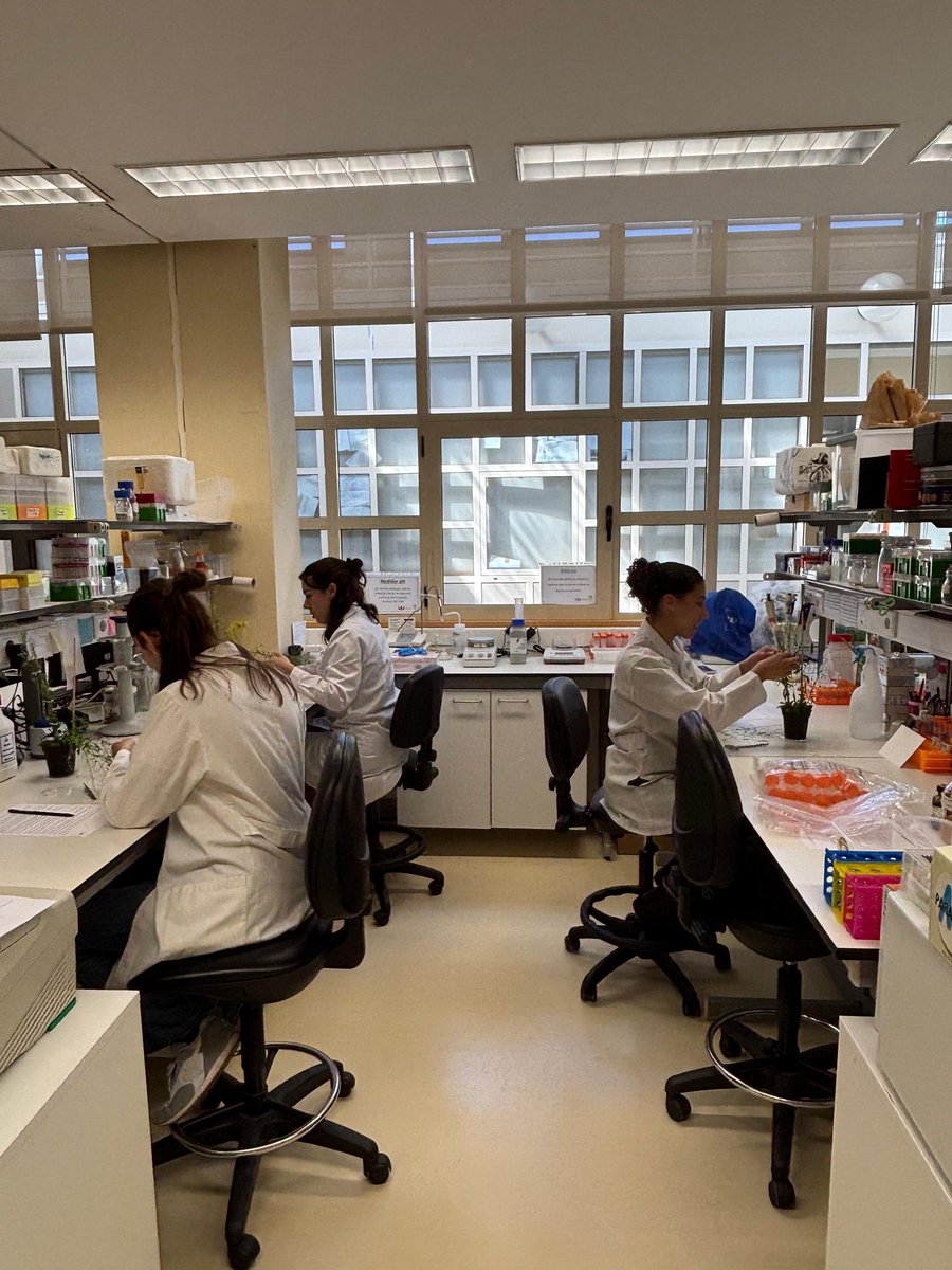 SPReD Lab tweet media