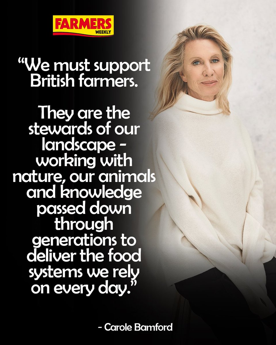 This is everything. ❤️