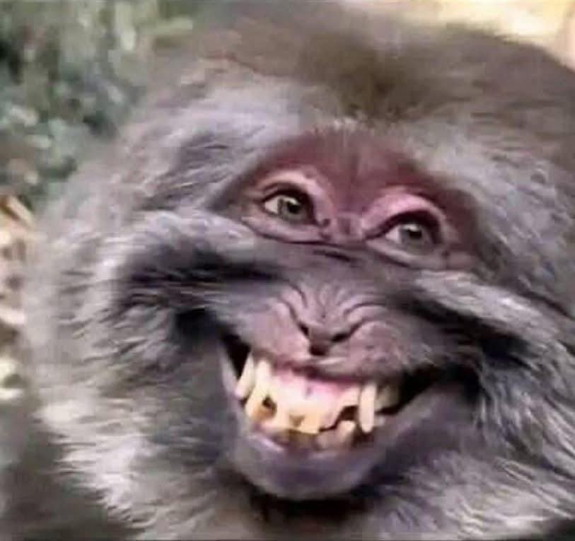 Late-Cummer tweet media