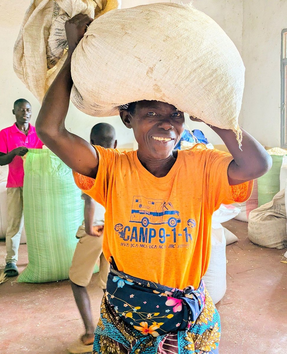 GLOBurundi's tweet photo. Abundant blessings in Ciya Community. Families are harvesting 250kg of maise each & a great bean crop is on the way! After years of struggle, the community is flourishing. Grateful hearts are saying, βThank you, Jesus!β π #HarvestBlessings #ICJ #endworldhunger https://t.co/gDzXvb8RiN