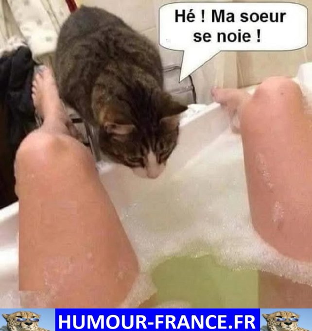 text alternatif