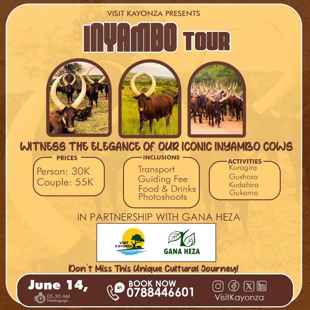 Join Us! 
#InyamboTour
#VisitKayonza
<a href="/VisitKayonza/">VISIT KAYONZA🦁🐘🦏🐃🐄</a>
<a href="/GANAHEZA16/">Green Agribusiness Network in Africa</a>