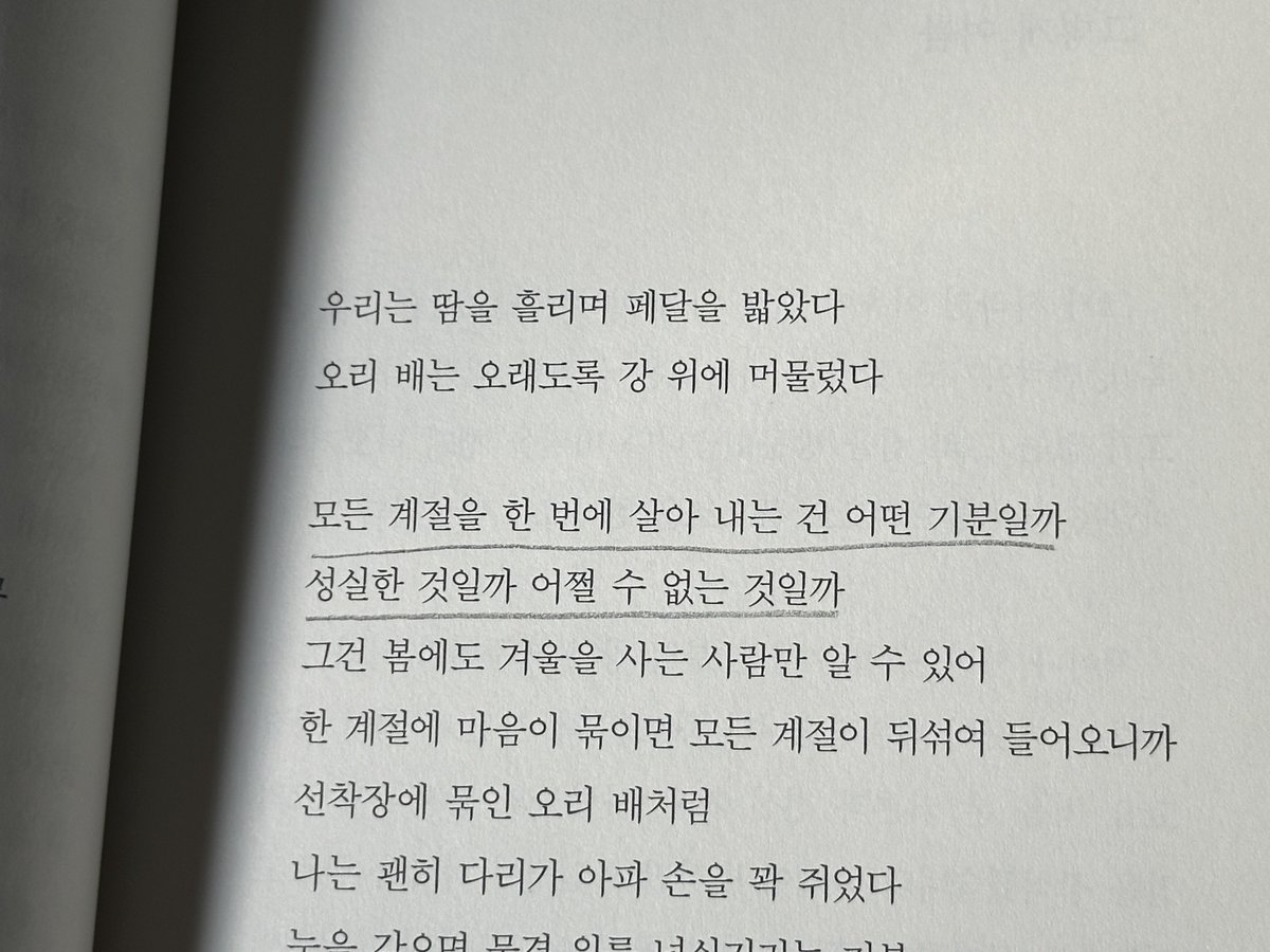 여름이 다가오면 늘 꺼내는 ‘여름 상설 공연’