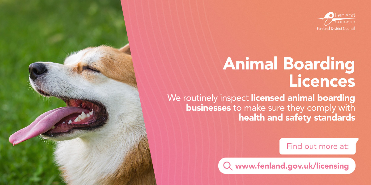 🐶 Going on holiday? Need someone to look after your pet?

 🔍 Only use licensed home boarders or kennels! We routinely inspect licensed animal boarding businesses to make sure they comply with health &amp; safety standards.

Check licences on our website at: bit.ly/FDCLicensingRe…