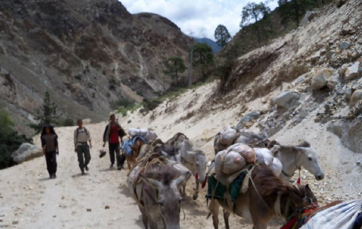 Sejuti Basu tweet media