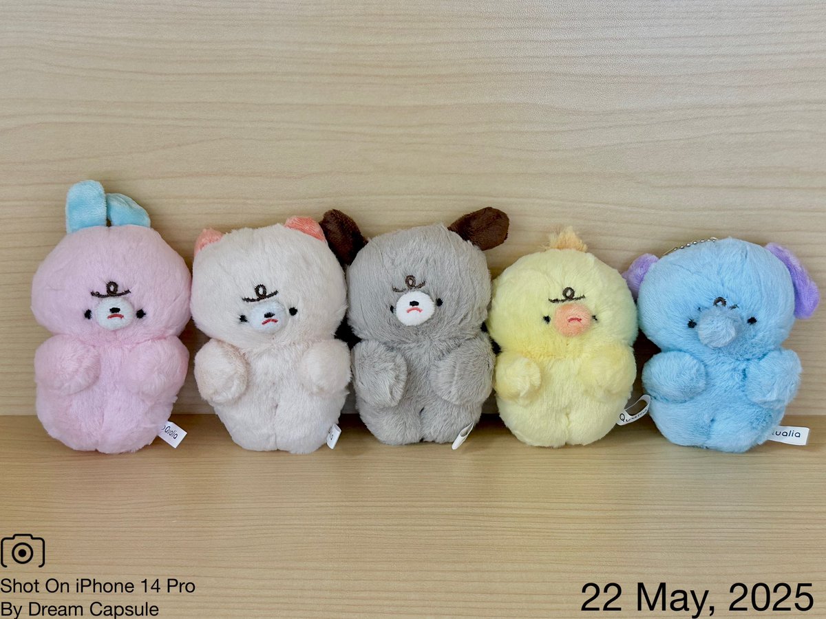 🌟新入荷ガチャ商品プレゼントCP🌟

むすっと顔とぷんぷんおててがキュート😠🩷
「むすっとちゃんぬいぐるみキーホルダー」

フォロー&amp;RP(RT)していただいた方の中から抽選で2名様に全5種セットをプレゼント🎁
ドリカプへの入荷日とキャンペーン詳細は↓

#ドリームカプセル #ガチャ専門店