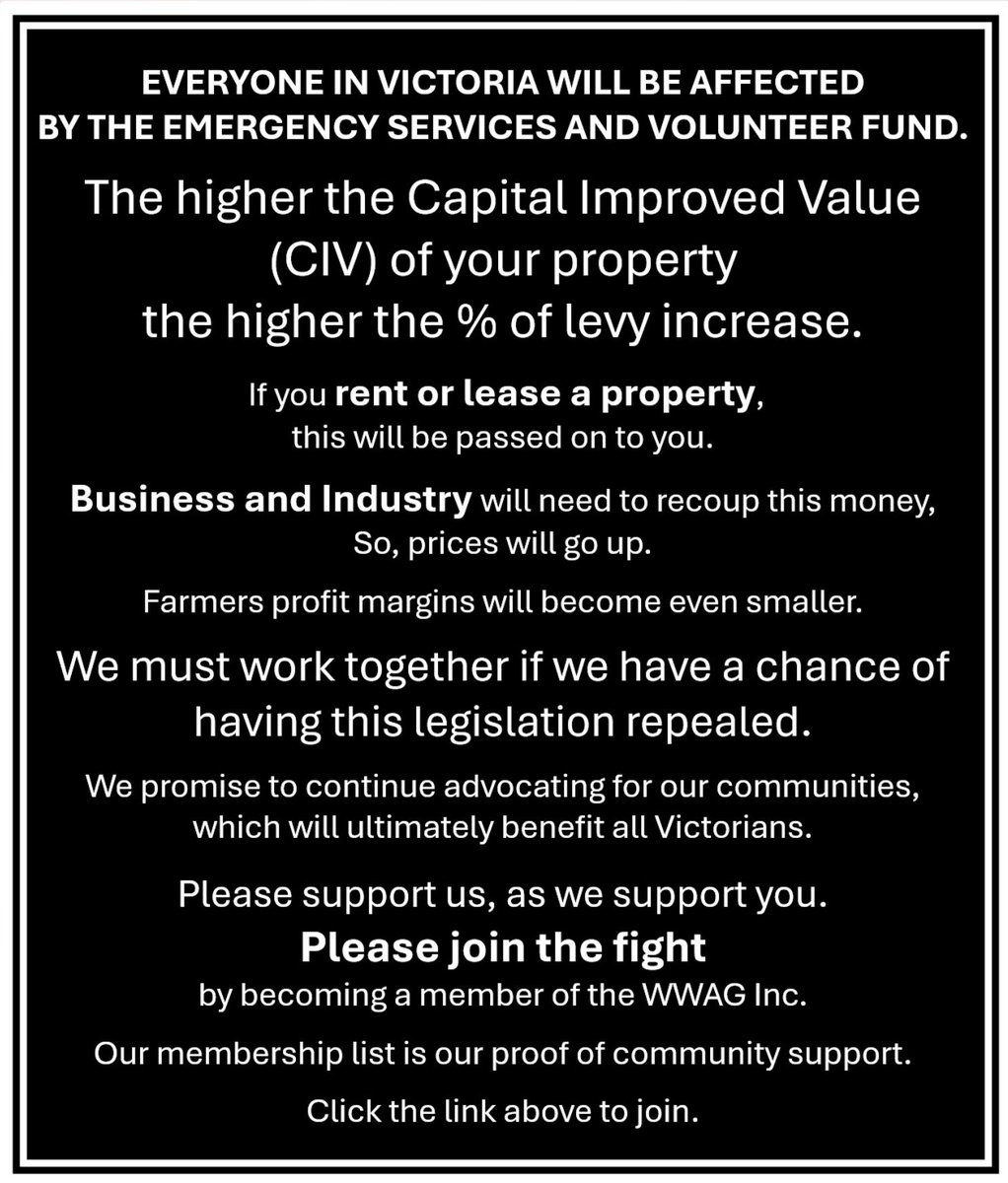 Marty Colbert tweet media