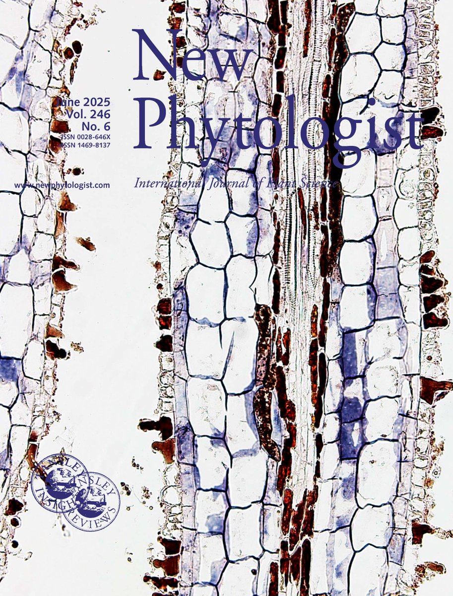 🆕 Our #LatestIssue is online now!

📚nph.onlinelibrary.wiley.com/toc/14698137/2…

Highlights include:
🌱 Regeneration and Defense
🌱 Receptor-like Kinases Cleavage 
🌱 Floral nectary diversity and #evolution

@WileyPlantSci