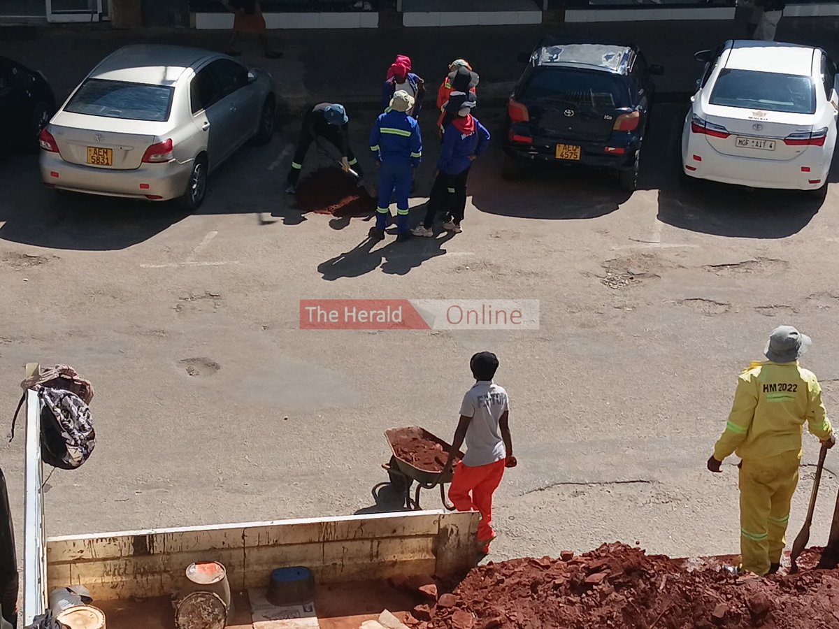 The Herald Zimbabwe tweet media