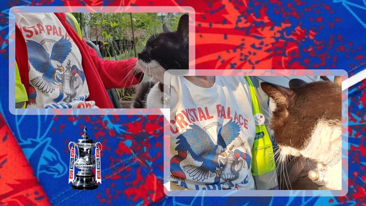 Holmesdale's tweet image. It’s been fantastic to see so many people buying our FA Cup final t-shirts - here’s just a selection of the many fans around the world who have picked one up! We have some new designs to check out too, so head to our shop now! (Link is in bio) #cpfc #facup #facupfinal