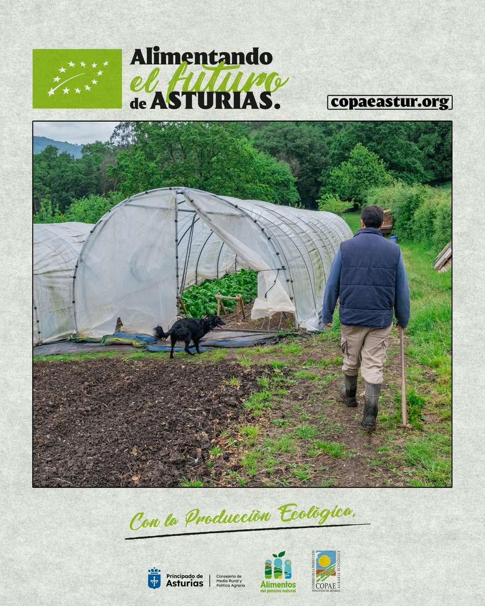 COPAE Asturias tweet media