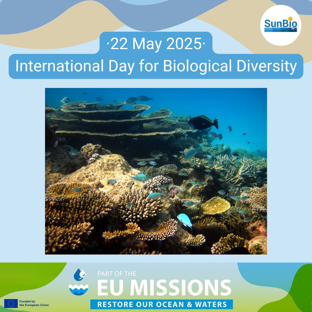 SUNBIO (@sunbioproject) on Twitter photo Celebrating the #BiologicalDiversityDay!
๐ฆ Let's protect it.
๐Let's restore it.
๐Let's live in harmony with it.
#SUNBIO #ForNature #BePartOfThePlan #Sustainability #ProtectOurPlanet #NatureMatters <a href="/cinea_eu/">CINEA ๐ช๐บ</a> @misssionocean <a href="/CORDIS_EU/">EU Research Results</a> Celebrating the #BiologicalDiversityDay!
๐ฆ Let's protect it.
๐Let's restore it.
๐Let's live in harmony with it.
#SUNBIO #ForNature #BePartOfThePlan #Sustainability #ProtectOurPlanet #NatureMatters <a href="/cinea_eu/">CINEA ๐ช๐บ</a> @misssionocean <a href="/CORDIS_EU/">EU Research Results</a>