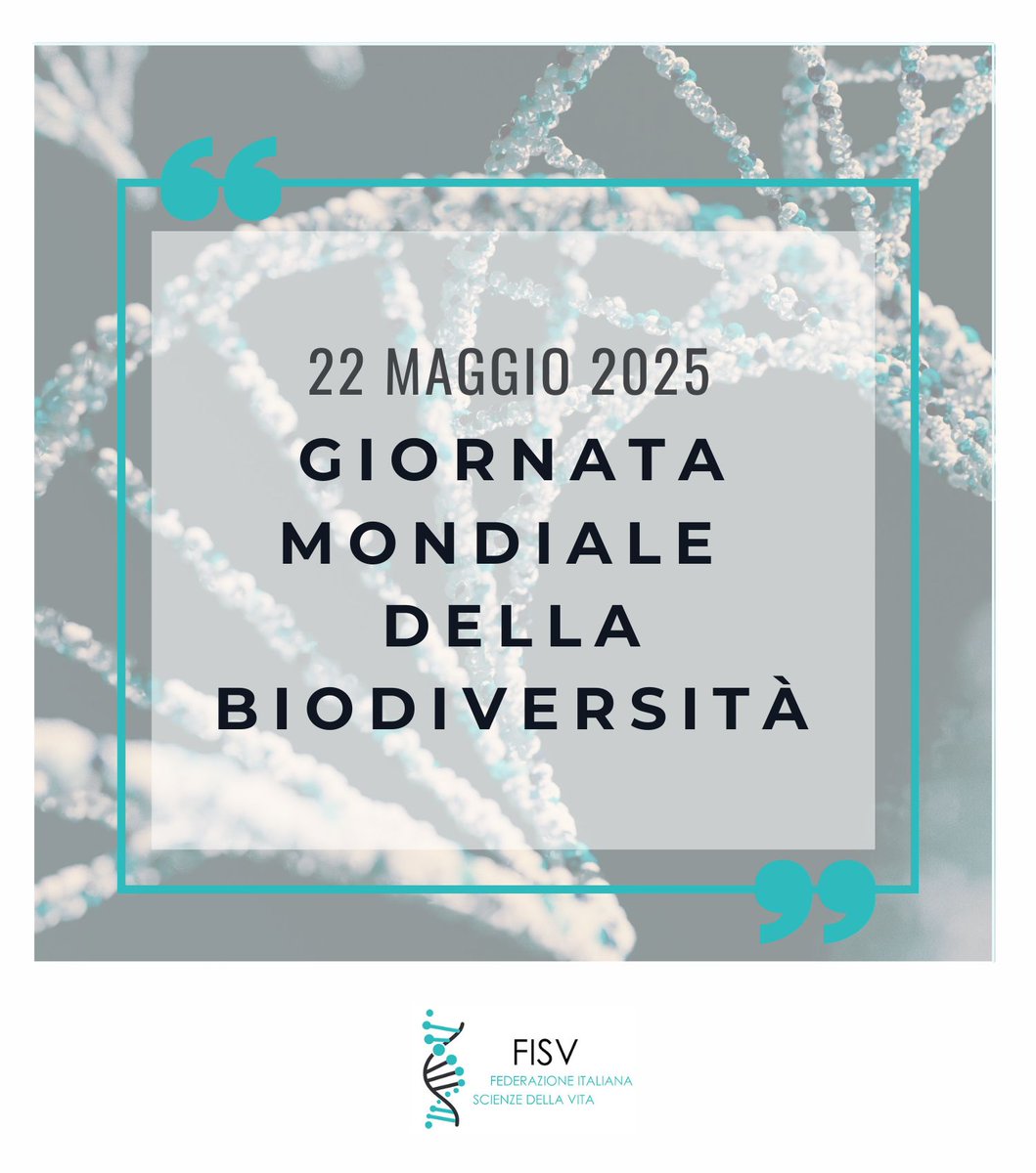 FISV998's tweet image. Giornata mondiale della #Biodiversità, istituita dalle Nazioni Unite nel 1992.
Tema 2025: Armonia con la Natura e Sviluppo Sostenibile. Invito a trovare un equilibrio tra le esigenze umane e la conservazione dell&apos;ambiente

Per approfondire: isprambiente.gov.it/it/news/giorna…