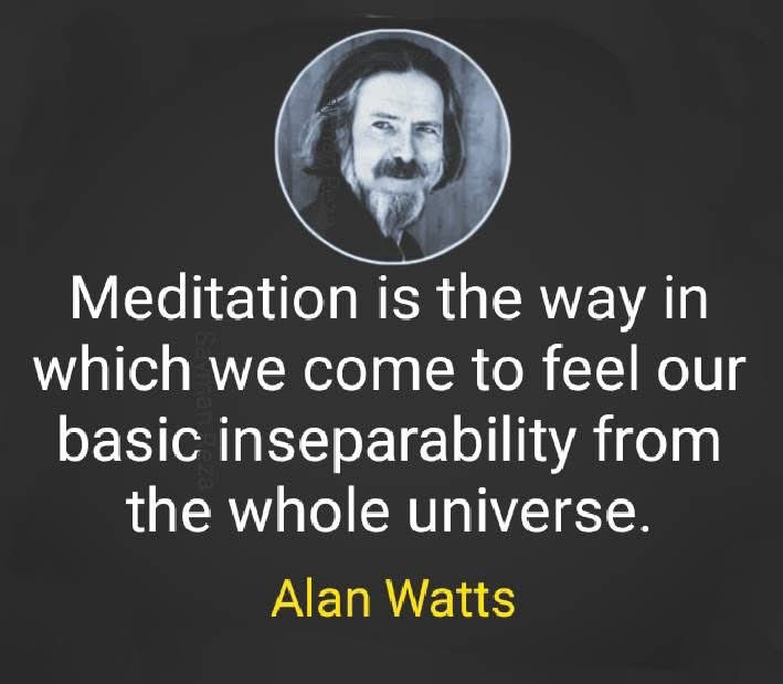 Wisdom from the great Alan Watts, who helped bring Eastern philosophy and practices to the West.