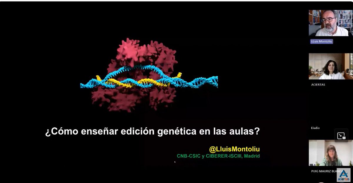 ACIERTAS (@aciertasred) on Twitter photo Ya está disponible el vídeo del pasado webinar Aciertas sobre edición genética y expresión de genes, con <a href="/LluisMontoliu/">Lluis Montoliu</a> y Blanca Puig. ¡No te lo pierdas! youtu.be/SbuZLDjRby8 Ya está disponible el vídeo del pasado webinar Aciertas sobre edición genética y expresión de genes, con <a href="/LluisMontoliu/">Lluis Montoliu</a> y Blanca Puig. ¡No te lo pierdas! youtu.be/SbuZLDjRby8