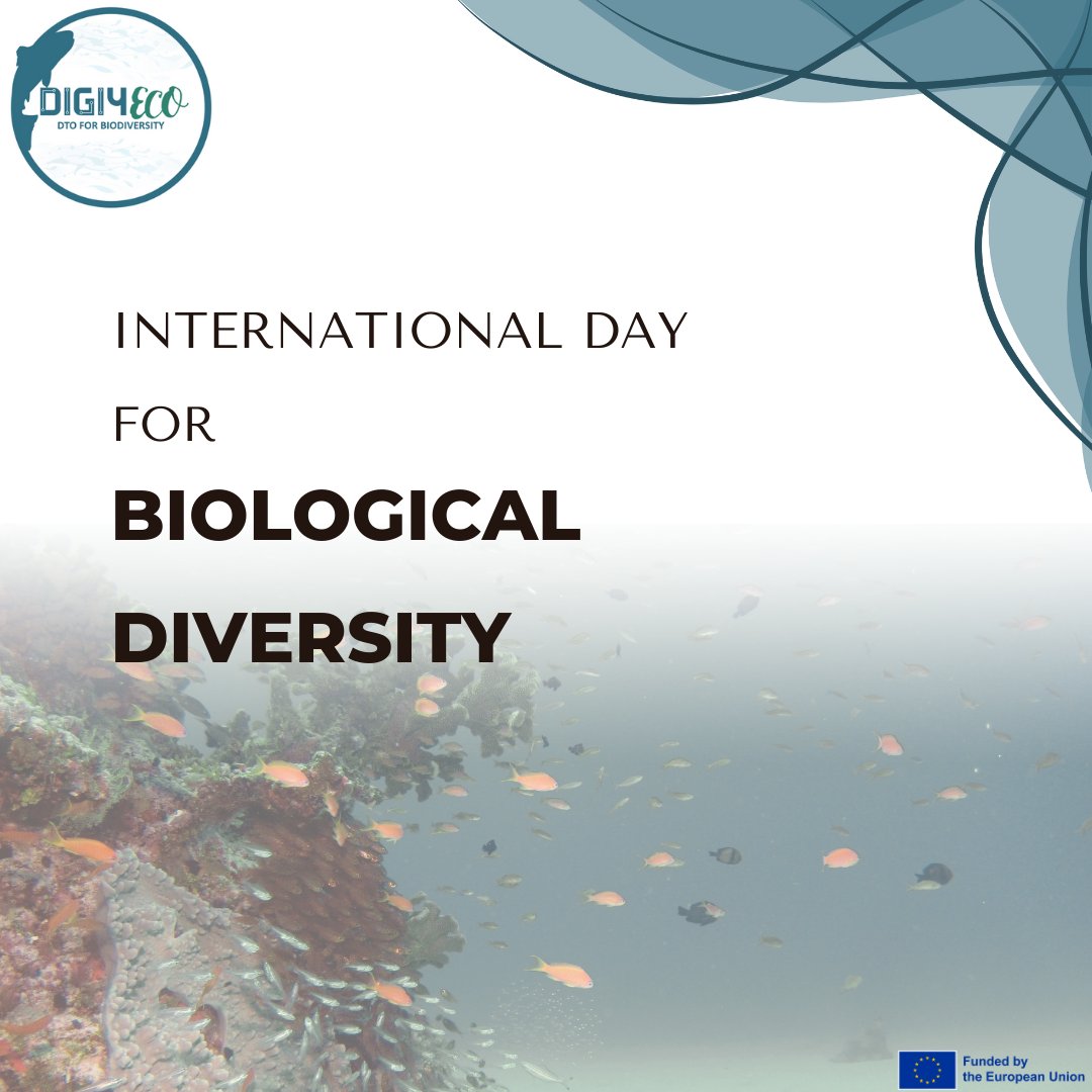 DIGI4ECO (@digi4eco) on Twitter photo International Day for ๐๐ข๐จ๐ฅ๐จ๐ ๐ข๐๐๐ฅ ๐๐ข๐ฏ๐๐ซ๐ฌ๐ข๐ญ๐ฒ๐
#DIGI4ECO is dedicated to unlocking new discoveries and advancements in the management and restoration of marine ecosystems and biodiversity
๐ digi4eco.eu
#DIGI4ECO #eufunded #cinea #BiodiversityDay International Day for ๐๐ข๐จ๐ฅ๐จ๐ ๐ข๐๐๐ฅ ๐๐ข๐ฏ๐๐ซ๐ฌ๐ข๐ญ๐ฒ๐
#DIGI4ECO is dedicated to unlocking new discoveries and advancements in the management and restoration of marine ecosystems and biodiversity
๐ digi4eco.eu
#DIGI4ECO #eufunded #cinea #BiodiversityDay