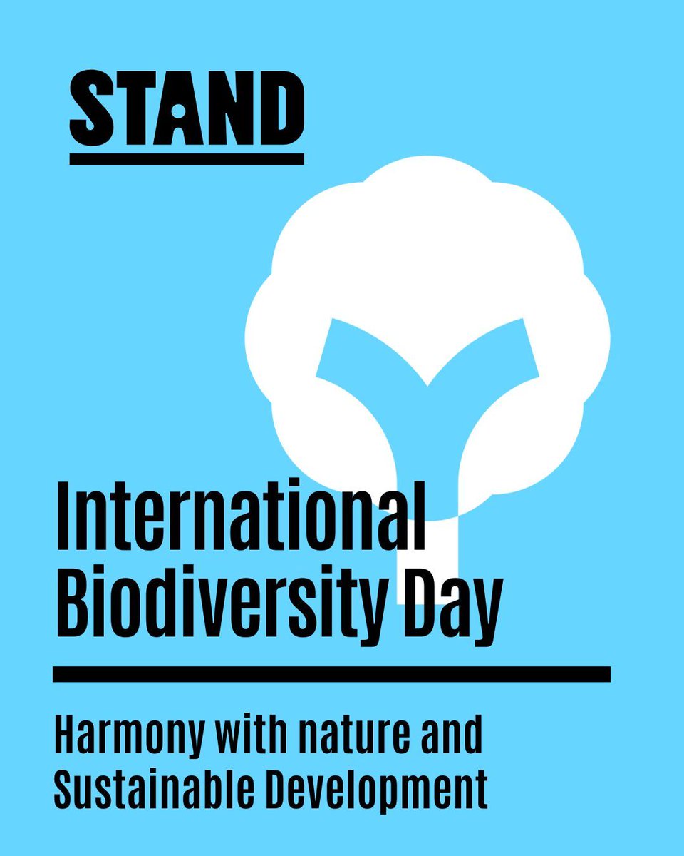 Today is International #BiodiversityDay. Protecting biodiversity doesn't just save the planet, it also makes our lives better. Clean air. Fresh water. Food security. Mental health. What’s one way you think we can live more in harmony with nature in our everyday lives?