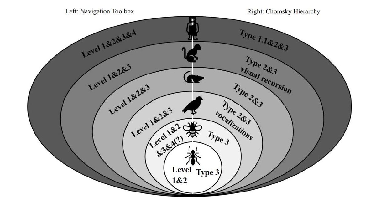 New preprint👇
Navigation as the evolutionary origin for recursive processing in human cognition
osf.io/xebsy_v1/downl…