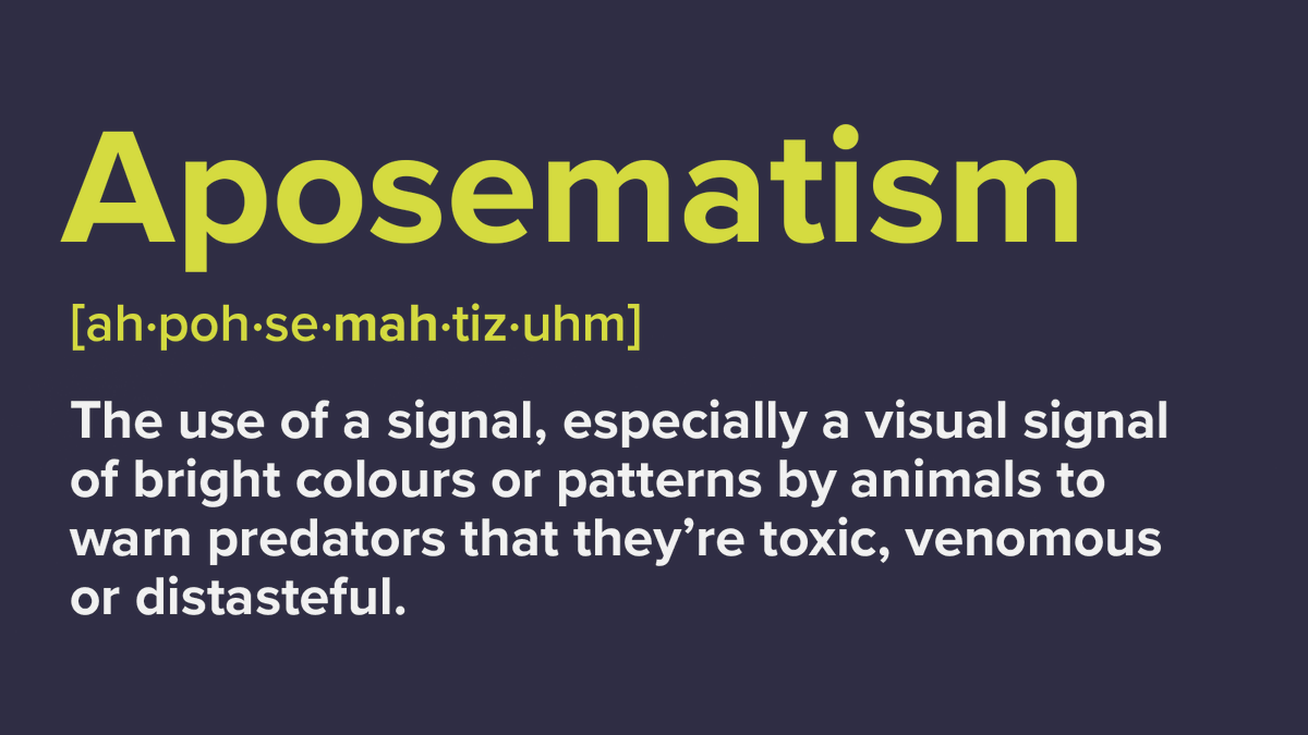 gsc1's tweet photo. #ScienceWordOfTheWeek
Aposematism - the use of a signal, especially a visual signal of bright colours or patterns by animals to warn predators that they're toxic, venomous or distasteful. https://t.co/mCcUCGT1fj