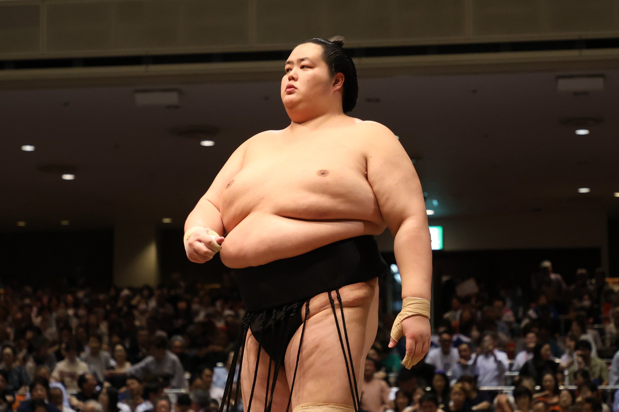 大相撲　手形　大栄翔　関脇　サイン　432 Amazon.co.jp: 令和5年大相撲、 関脇『大栄翔』関、手形