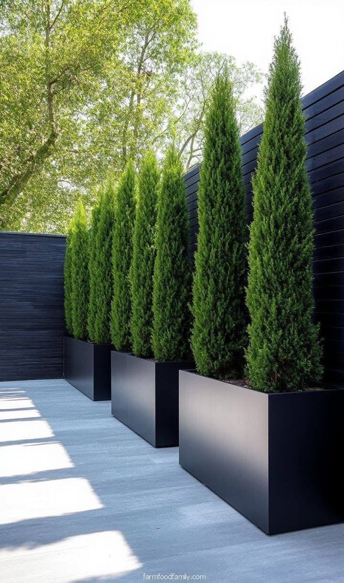 Lütfen paylaşırmısınız🙏
Tüm bitki çeşitleriyle Tasarım Peyzaj ve çevre düzenlemeye dair tüm işlerinizde profesyonel ekiplerimizle yanınızdayız
Siz hayal edin
biz tasarlayalım 
DORAS Peyzaj Çevre  Düzenleme &amp; Bitki Üretimi..