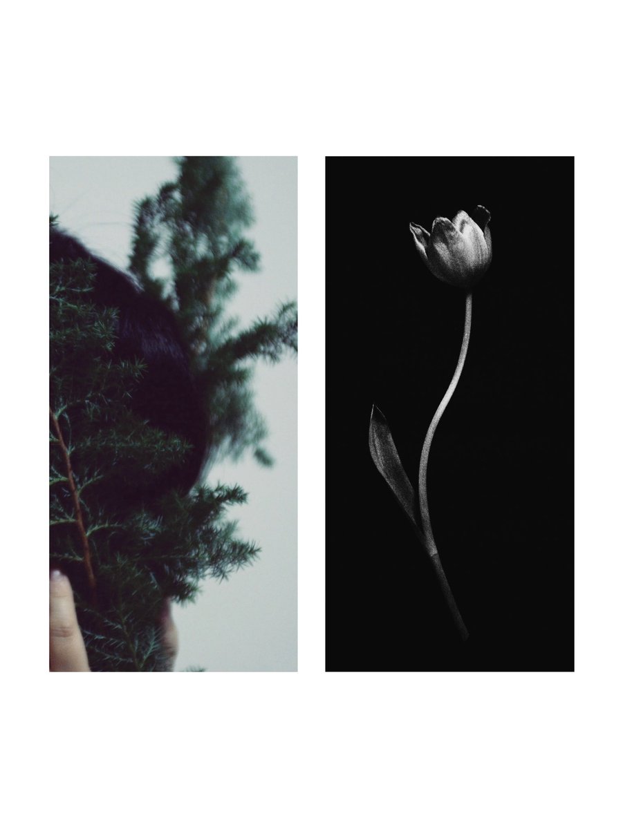 夜脈カセツ (@yosuji_) on Twitter photo 