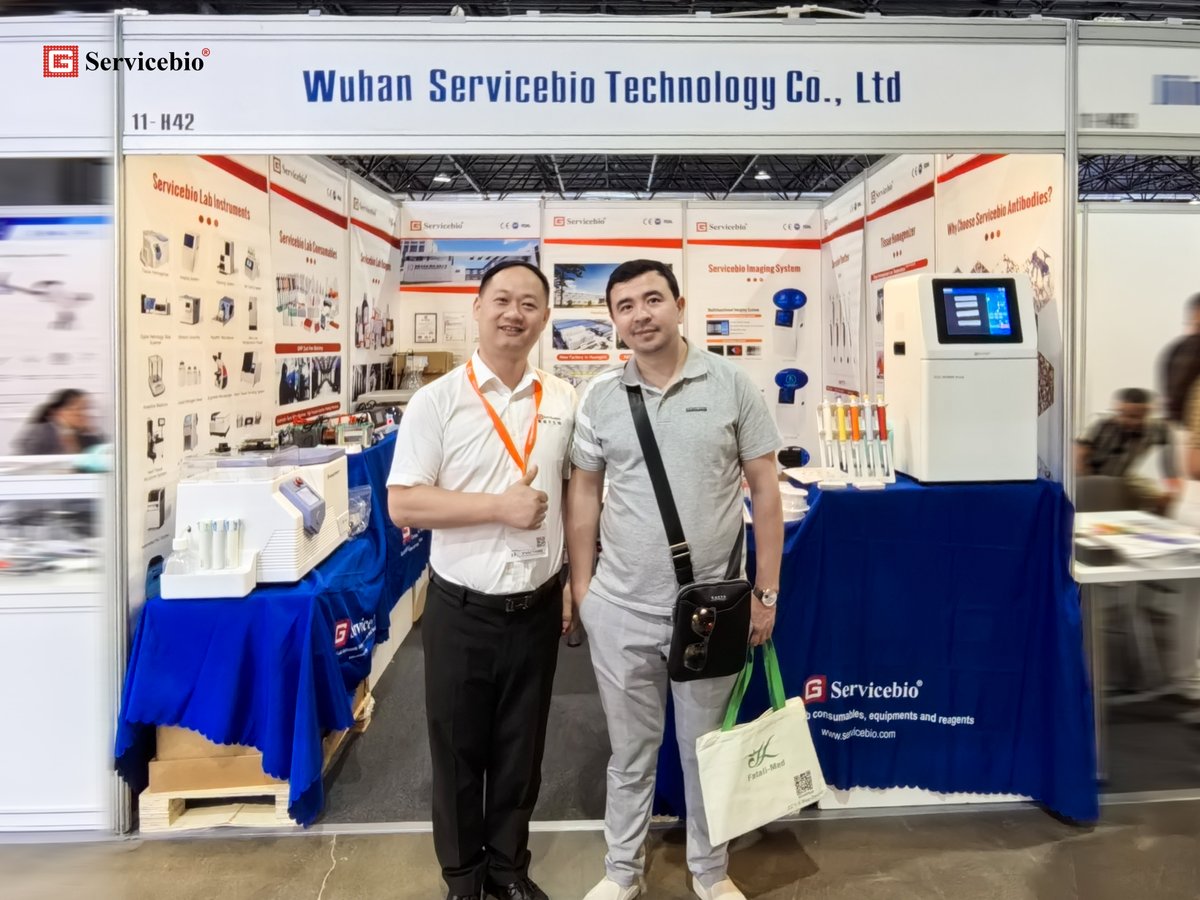WUHANSERVICEBIO's tweet photo. 🚀 Join Servicebio at #KIHE 2025!
As a trusted lab equipment manufacturer, we empower ALL research workflows. 🤩 
Build your ultimate lab ecosystem 👉Visit Booth 11-H42!
#KIHE2025 #BiotechInnovation #LabEssentials https://t.co/9cnDWjNZi4