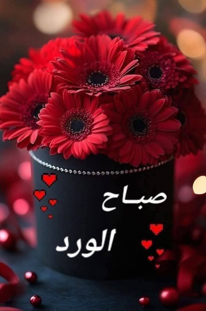 🌼عَآزِفَةُُ عَلَے آوْتَآرْ آلْفَرَحْ🌼 tweet media