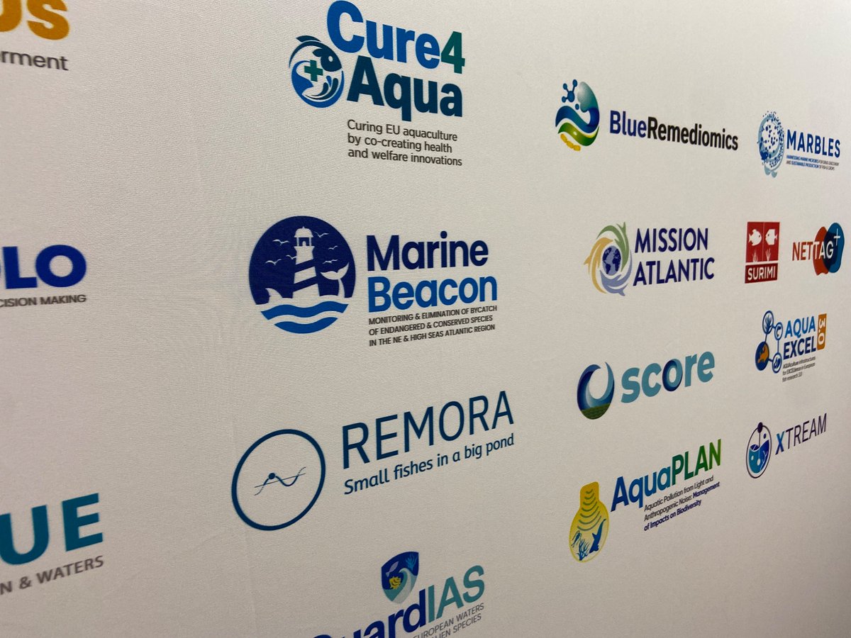 Marine Beacon (@marinebeacon_eu) on Twitter photo #emd2025 is under way and it's great seeing all the projects, initiatives, researchers and companies interacting and exchanging ideas! Change is a collaborative process! <a href="/HorizonEU/">Horizon Europe 🇪🇺</a> <a href="/EU_MARE/">EU Maritime & Fish</a> #emd2025 is under way and it's great seeing all the projects, initiatives, researchers and companies interacting and exchanging ideas! Change is a collaborative process! <a href="/HorizonEU/">Horizon Europe 🇪🇺</a> <a href="/EU_MARE/">EU Maritime & Fish</a>