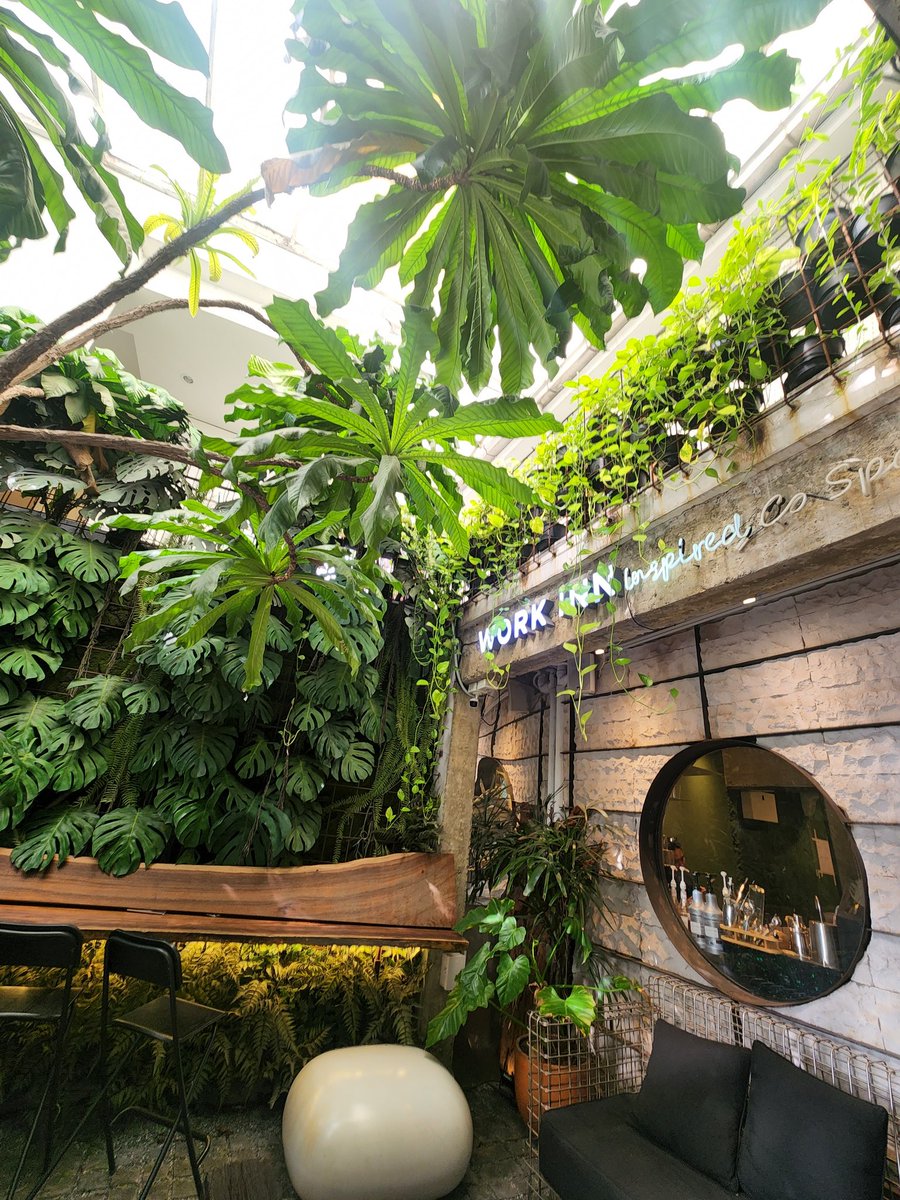 maymayalady's tweet photo. Nordlys coffee #Cafe เล็กๆที่อยู่ใน #WorkInn #coworkingspace ในซอย #แจ้งวัฒนะปากเกร็ด39 เหมาะแก่การมานั่งทำงานเงียบๆ คุยงานเบาๆ
งงๆว่านี่มาจากปากเกร็ด แต่GPS ให้ขึ้นทางด่วนเสียค่าเอ๋อไป45บาทจ้า
ขอแนะนำถ้าใครจะมาให้เข้ามาเมืองทอง แล้ววิ่งเส้นเลีบบทะเลสาบแหละค่อยปักหมุด เจอง่าย https://t.co/TDOtwStVsO