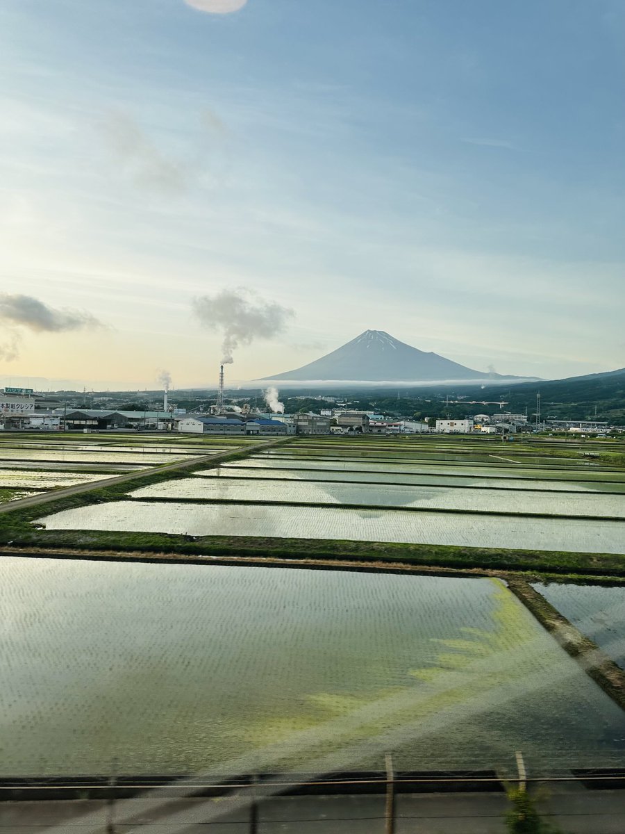 🌾Food Sake Tokyo🍙🌻坂本ゆかり tweet media