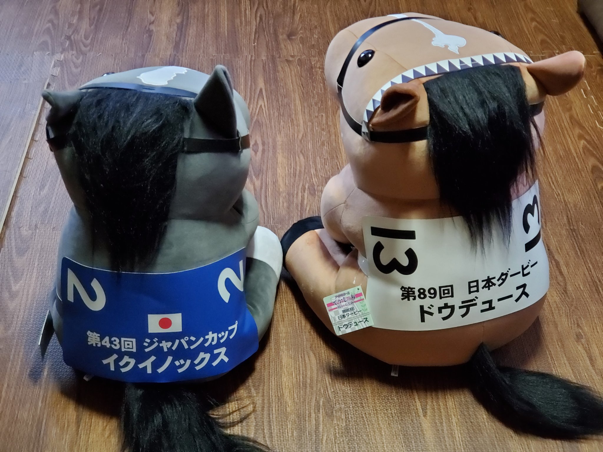 でかもっち　ドウドュース ターフィーショップグッズ開発部 on X: 