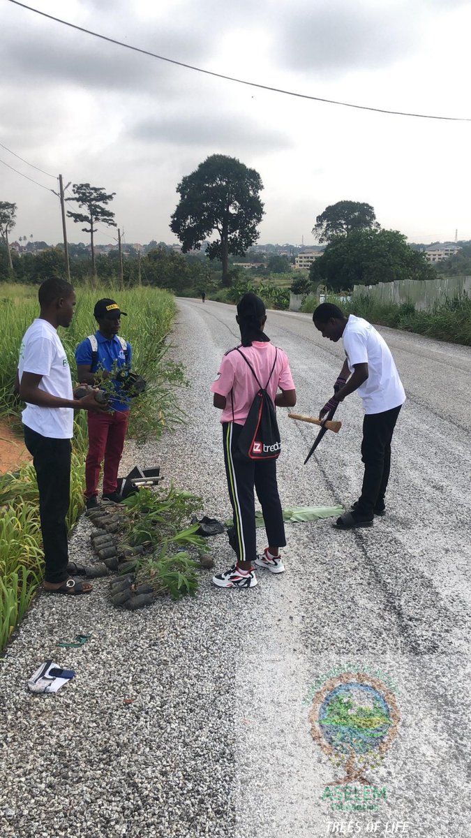 aselemfound's tweet photo. 🌱💚🌱💚🌱💚🌱💚🌱💚🌱💚🌱💚🌱💚🌱💚🌱💚🌱💚🌱💚
🌱🌍 Trees of Life: Planting Seeds of Change at KNUST! 🌱💚🌱💚
 
🌱💚 On May 17, 2025, we brought nature to life at KNUST Medical Village, Boadi, with our Trees of Life event! 

#TreePlanting https://t.co/GYHtg0PlMS