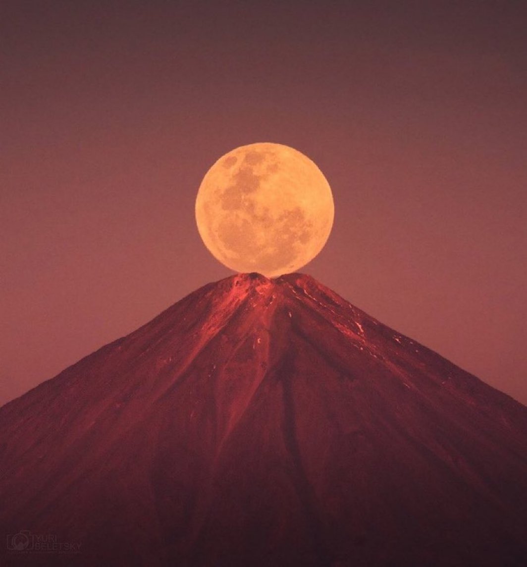 MOON LOVER (@m1onlover) on Twitter photo 