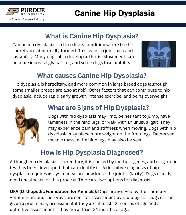 Croney Research Group tweet media