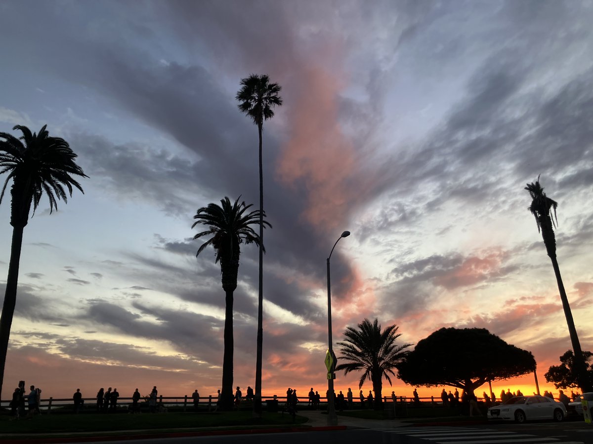 Point out trees you like to others