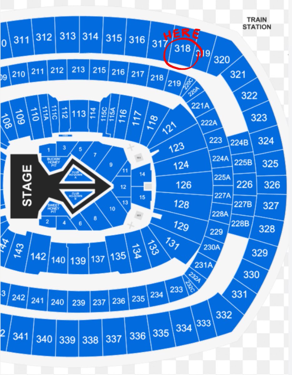 #beyhive #beyonce #CowboyCarterTour 

I’m selling up to 4 tickets for this upcoming Sunday show at MetLife in NJ! Tell someone hot and popular!!!!!