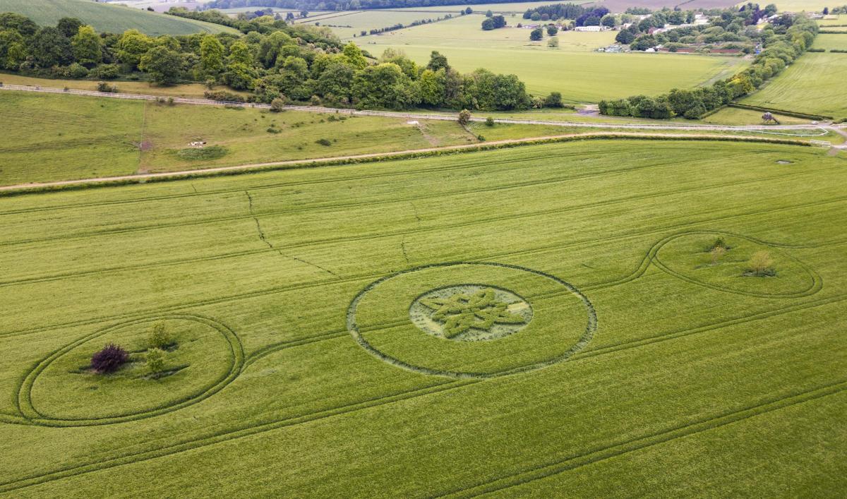 twinflamesasia's tweet image. #AshtarCommand &amp;amp; crop circles in the UK?
Wiltshire village of Sutton Veny on May 15.

Credit image: #wiltshiretimes UK